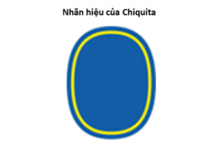 EU: Tòa án Chung xác nhận vô hiệu nhãn hiệu hình oval màu xanh của Chiquita.